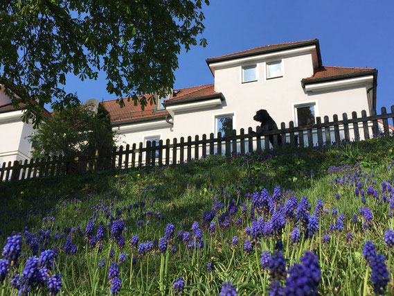 Zimmersuche, Zimmervermietung Ingolstadt, Eichstätt