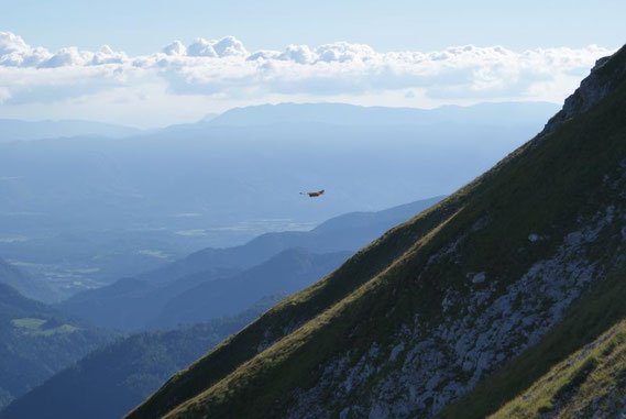 Ein Vogel hält sich im kräftigen Südwind, Blick nach Slowenien
