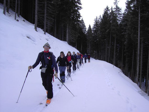 Aufstieg am Forstweg
