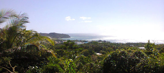 View from Forest Estate Properties