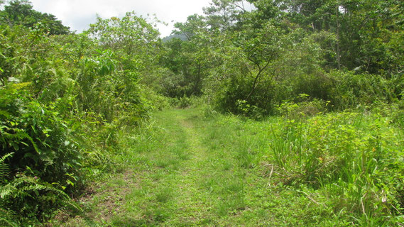 Hodges Estate Properties