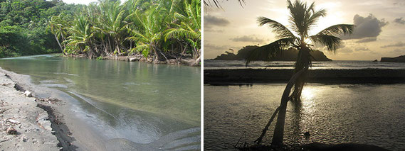 Hodges Beach River