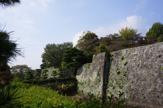 清水門 両側の石垣　東日本大震災に耐えた石垣   数ヶ所に石垣・曲輪の崩壊あり