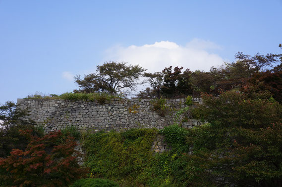 本丸西 南側の石垣