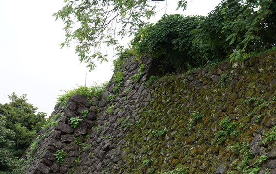 丑寅櫓跡の石垣　野面積み金沢城内最古の石垣１