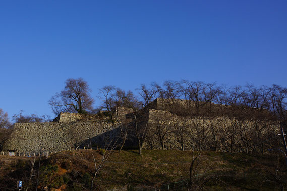 西側から見た津山城の石垣