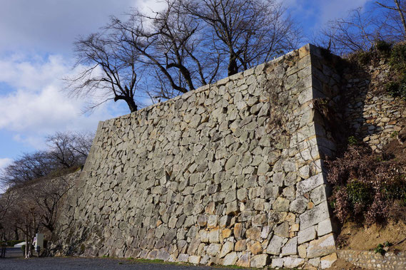 二ノ丸 南東側の石垣　（右側に古い石垣が見える）