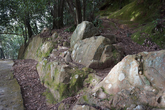 丘陵南側の石