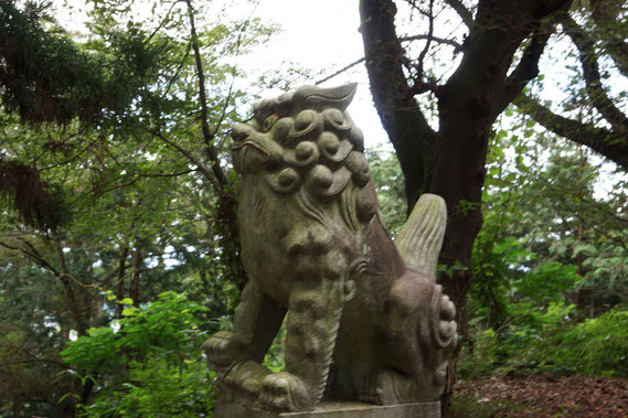 本丸にある新府藤武神社前の狛犬 歴史を語る