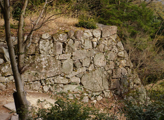 二の丸跡から見る本丸入口近くの石垣