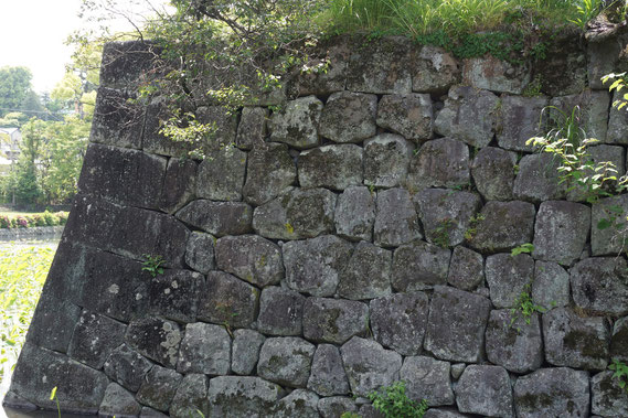 南曲輪の石垣