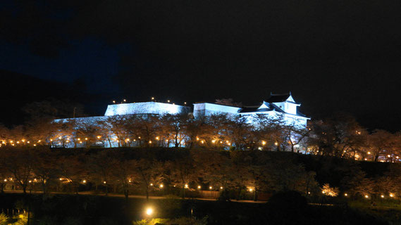 夜桜に浮かぶ津山城 （城の南西にあるザ・シロヤマテラス津山別邸から見る）