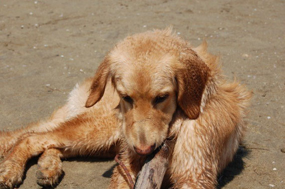 Booker ist auch im Urlaub viel beschäftigt