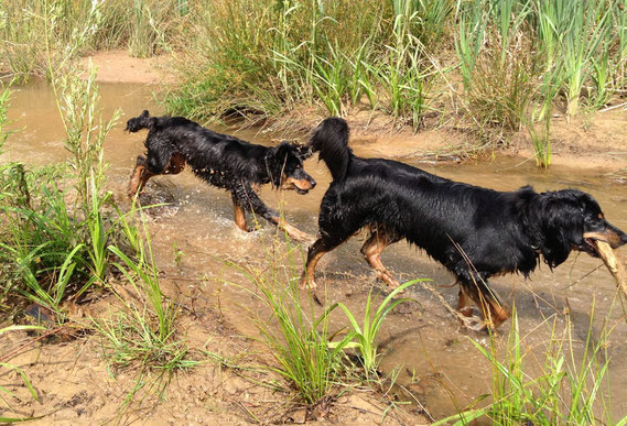 Baki (6 Monate) und Annabelle durchforsten den Amazonas