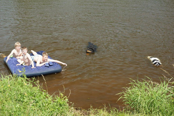 hier hat niemand Angst vor dem großen, schwarzem Hund!