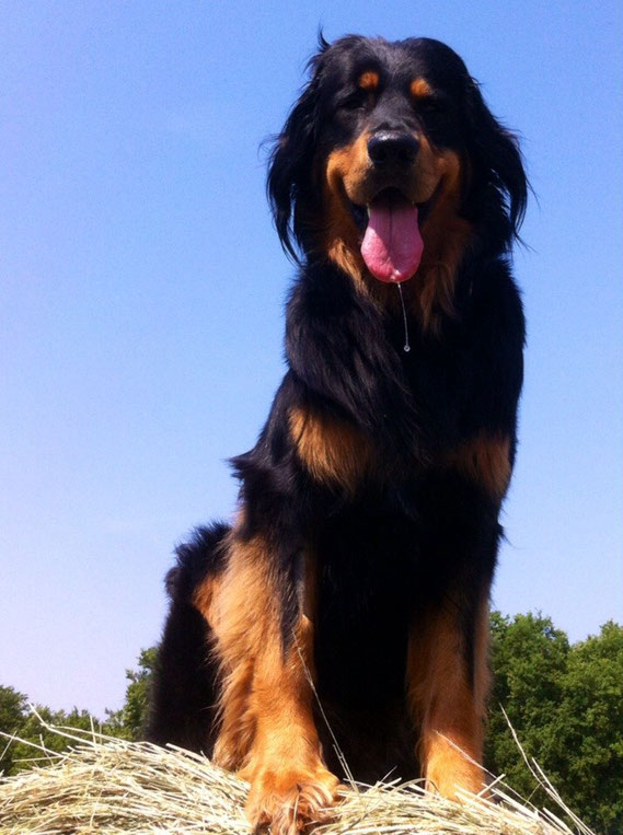 So schmeckt der Sommer! ( Baki, 2 1/2 Jahre)