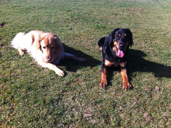 Merlin (Antek) und Annabelle März 2012