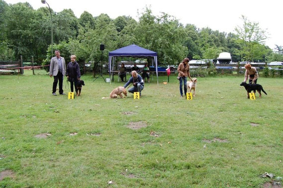 Babyklasse in Haltern am See