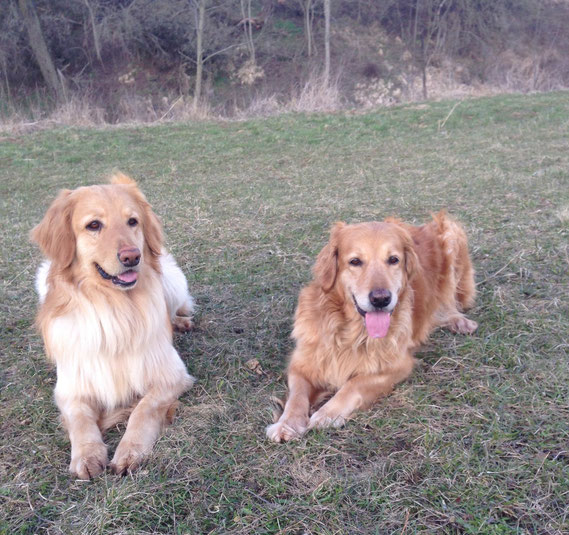 links ( left side) Birdy/ BENJAMIN, rechts ( right side) Thaler Ostern 2015 ( Easter 2015)