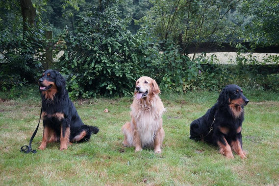 von rechts: Vater, Mutter, Baki-Kind 28.07.2014