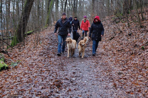 Booker Bleik ( links) und Thaler auf dem Weg in den Opelzoo, 10.02.2014