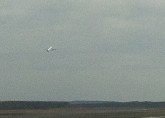 Birdy in der Luft, auf dem Weg nach Moskau, seiner neuen Heimat; Mach´s gut liebes Vögelchen!