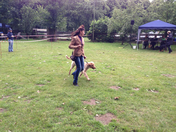 first showtime: puppy class