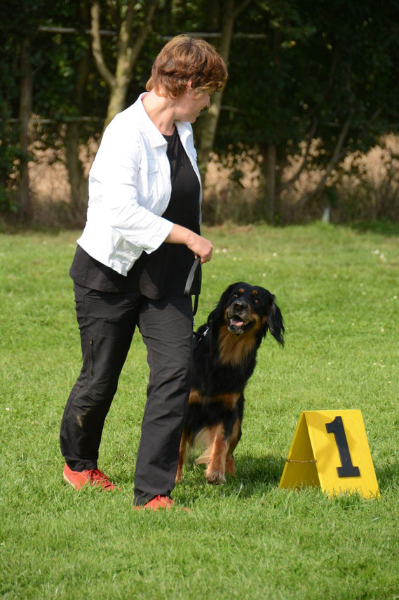 Schönste Hündin CAC Niederelvenich 2014