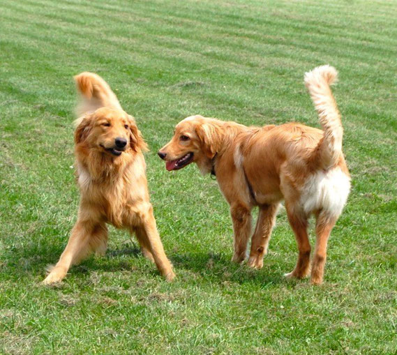 Sind sie nicht smart?! (Links Ares, rechts Booker)