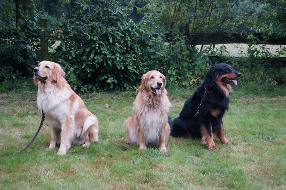 von rechts nach links: Vater, Mutter, Booker-Kind; 28.07.2014