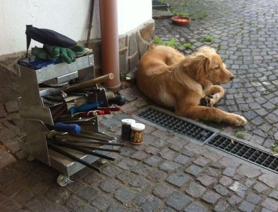 Booker lässt gerne arbeiten, aber ist immer dabei (und mitlerweile auch schon so vernünftig, dass er das Werkzeug da lässt, wo es hingehört)!