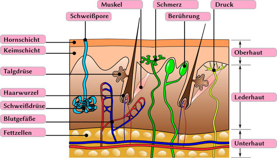 Von Sgbeer - Eigenes Werk, CC BY-SA 3.0, https://commons.wikimedia.org/w/index.php?curid=8534406