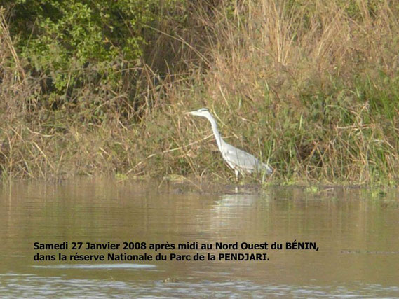 Réserve de la Pendjari au Bénin. 304 KO.