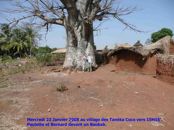 Paulette et Bernard devant un BAOBAB. Il n' est pas mort mais c' est la saison sèche. 452 KO.