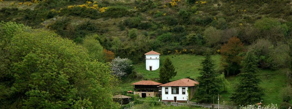 Palomar de La Casona ( Ambás )