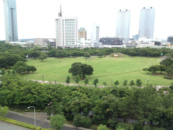 駅から少し歩くとある海浜幕張公園。広くて緑豊かで気のいい場所です。