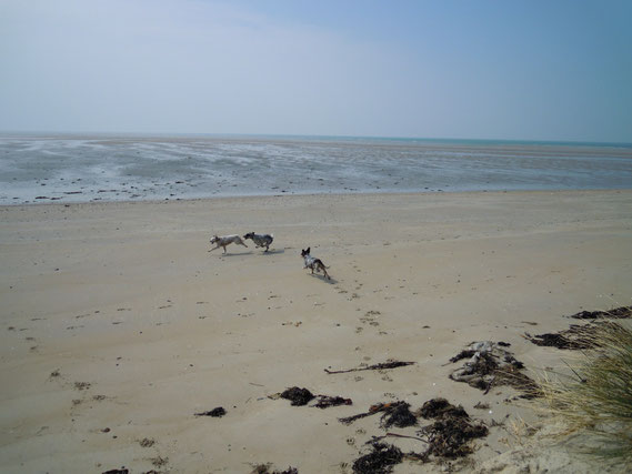 sur la plage (30.03.13)