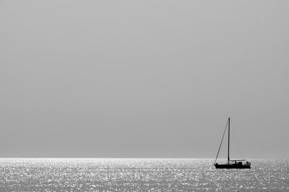 Foto van de maand januari 2016 - Marij van den Munckhof