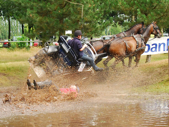 Foto van de maand november 2019 - Sjaak van Wijlick