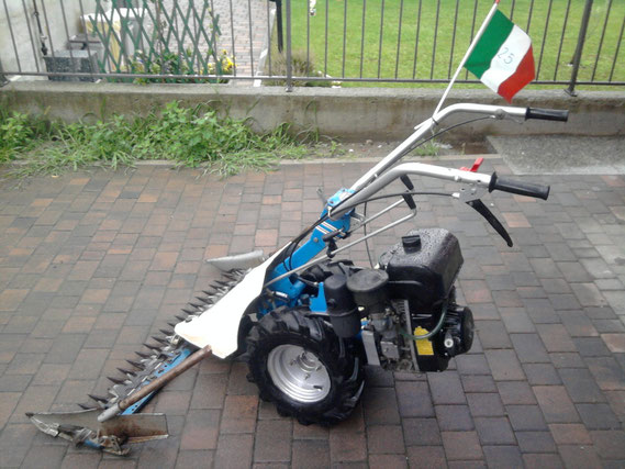 BCS 602 dopo il restauro