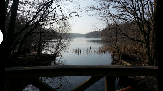 Der Grunewaldsee