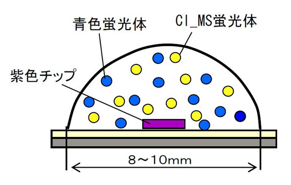 クルムス蛍光体