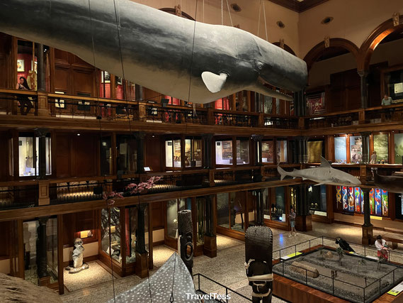 Pacific Hall Bisshop Museum