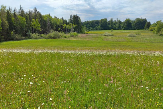 Foto: Zeitlerwiese, Claudius Birke