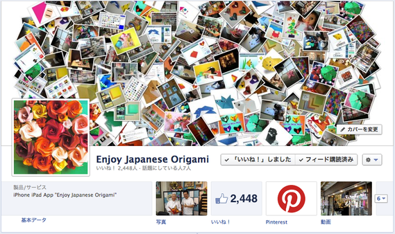 Enjoy Japanese Origami