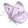 schmetterling icon