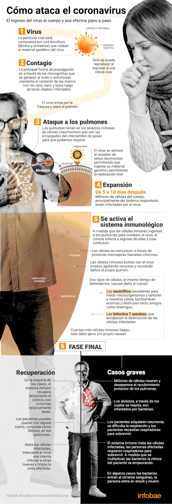 Así ataca el coronavirus (Infografía: Marcelo Regalado)