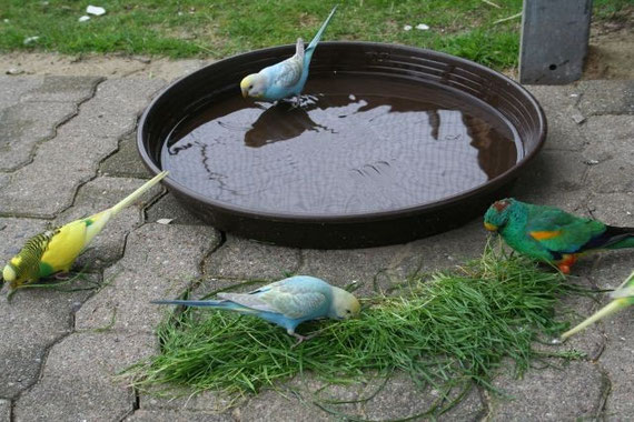 Wir lieben den Sommer !