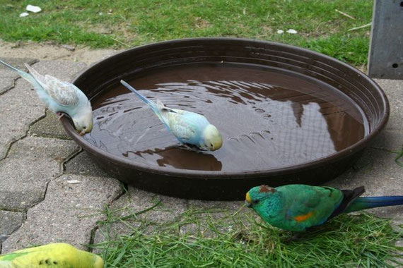Sommerzeit !        Badezeit !