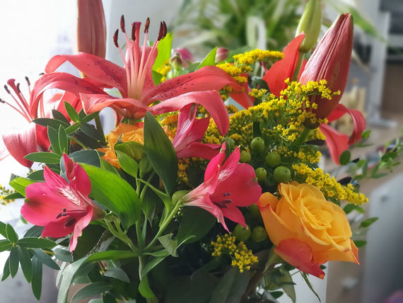 Frühling im Anmarsch 